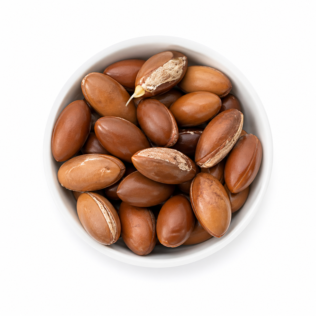 MAHUA SEED (TORA)