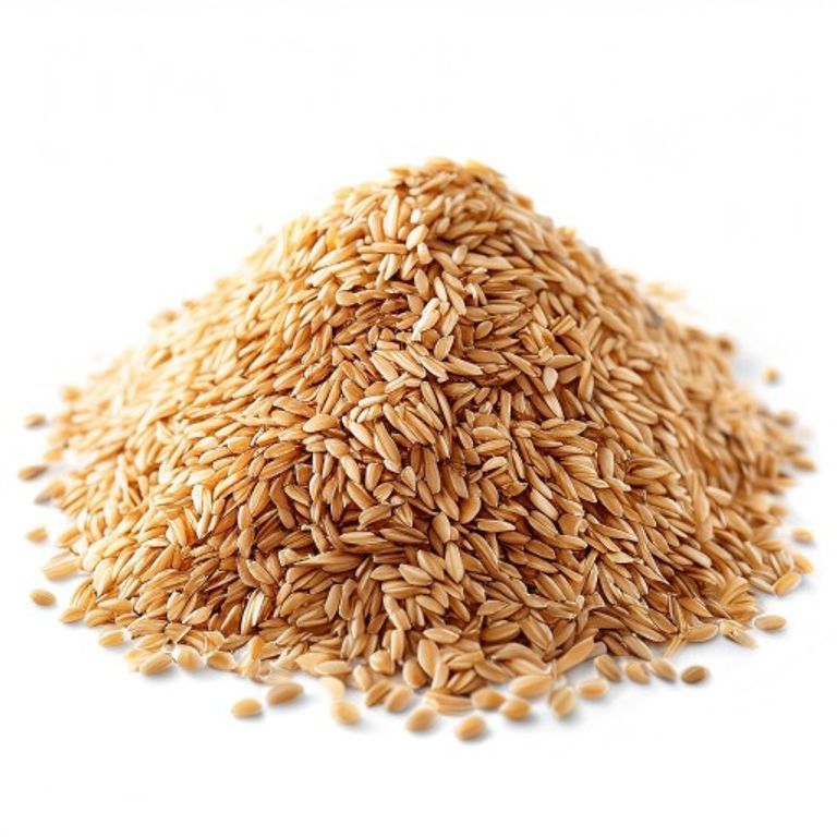 KOSRA (LITTLE MILLET)